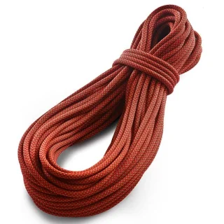 Tendon Ambition 10 mm - Standard