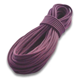Tendon Ambition 10,5 mm - Complete shield